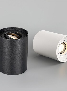 Free bulb LED Ceiling lamp 5W 10W 14W G10 COB Spot light lam