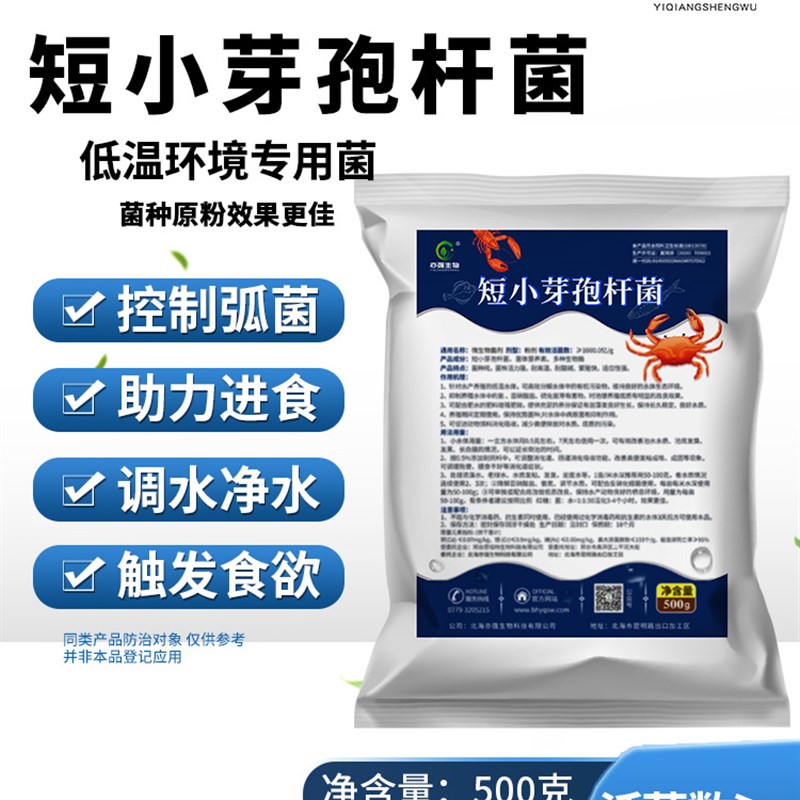 短小芽孢杆菌水产养殖冬天环境低温污水处理水体底质微生物菌种