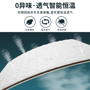 海马床垫乳胶椰棕软硬垫两用1.8米1.5米席梦思独立弹簧床垫20cm厚