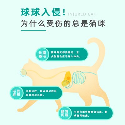 猫咪化毛球片猫草片消化吐毛球猫咪用化毛膏化猫片营养补充维生素