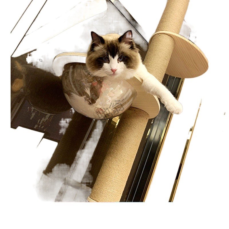 G厄猫爬架通天柱实木麻绳猫架z猫窝猫抓柱猫咪用品猫玩具猫用品全