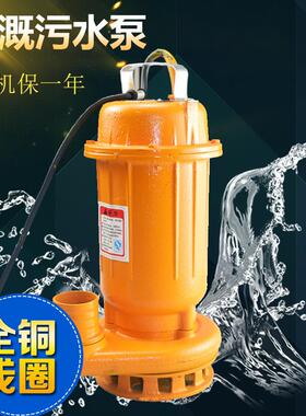 220V农田灌溉污水泵 1100W 2寸无堵J塞排污泵 水沟潜水泵抽水机