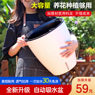 花金钱发财树白色盆景花盆客厅种绿 加厚耐用c大号花盆幸福树月季