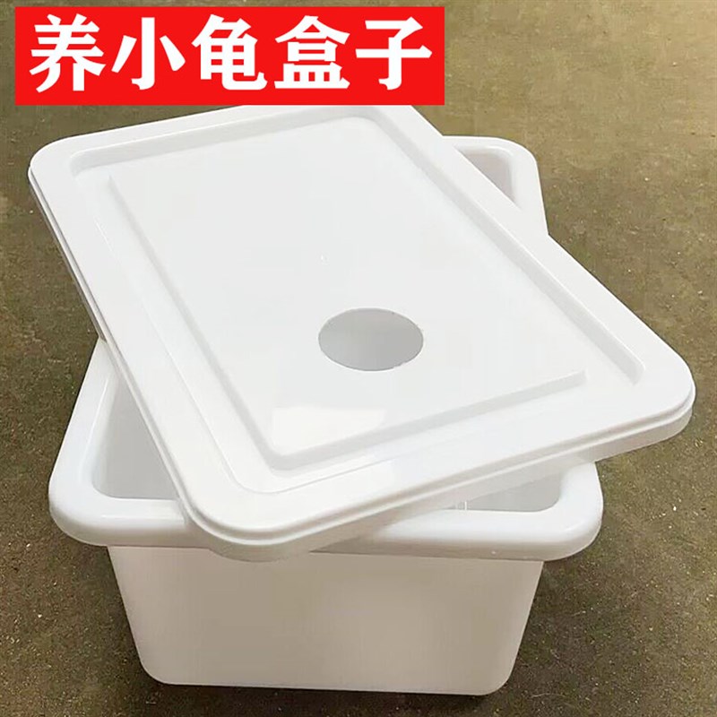新品乌龟缸隔离发色盒子纯白色周B转箱养小草龟苗剃刀龟隔离盒加