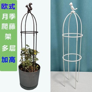 蟹爪兰专用支架爬藤支架绿萝月季 饰植物支撑杆 铁线莲瓜藤花架子装