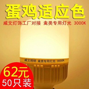 养鸡蛋鸡灯养殖灯泡养鸡场照明LED暖光5瓦7瓦10瓦全封闭其他