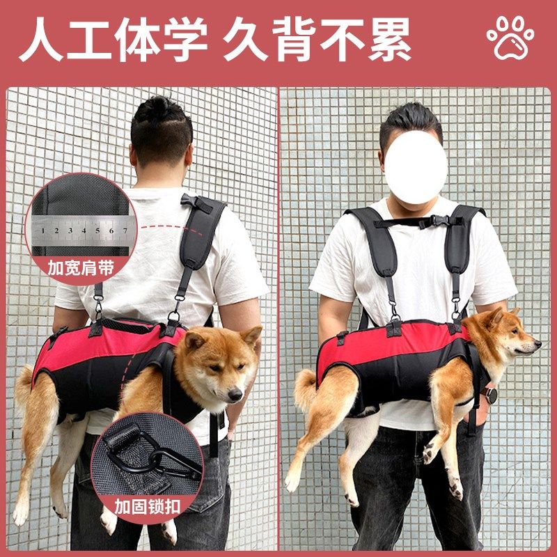 狗狗坐电动车外出神器大狗骑摩托宠物背包外出双肩便携包背带固定,宠物/宠物食品及用品,背包/箱包,淘宝优惠券,粉丝福利购,淘宝优惠卷