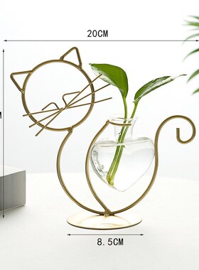 北欧风ians铁艺干花透明玻璃绿萝创意水培试管小花瓶客厅插花摆件