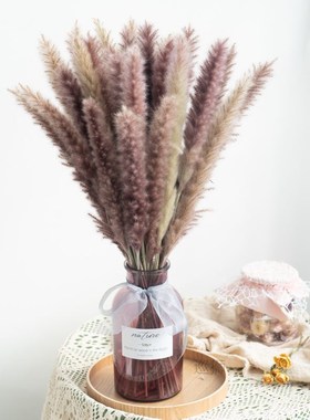 30PCS Real Reed Small Pampas Grass Wedding Bunch Natural Hom