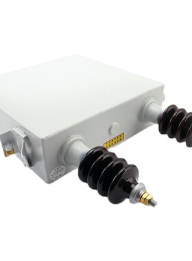 专业生产定做高压成套柜体BFM11√3-100-1W薄膜固定并联电容器