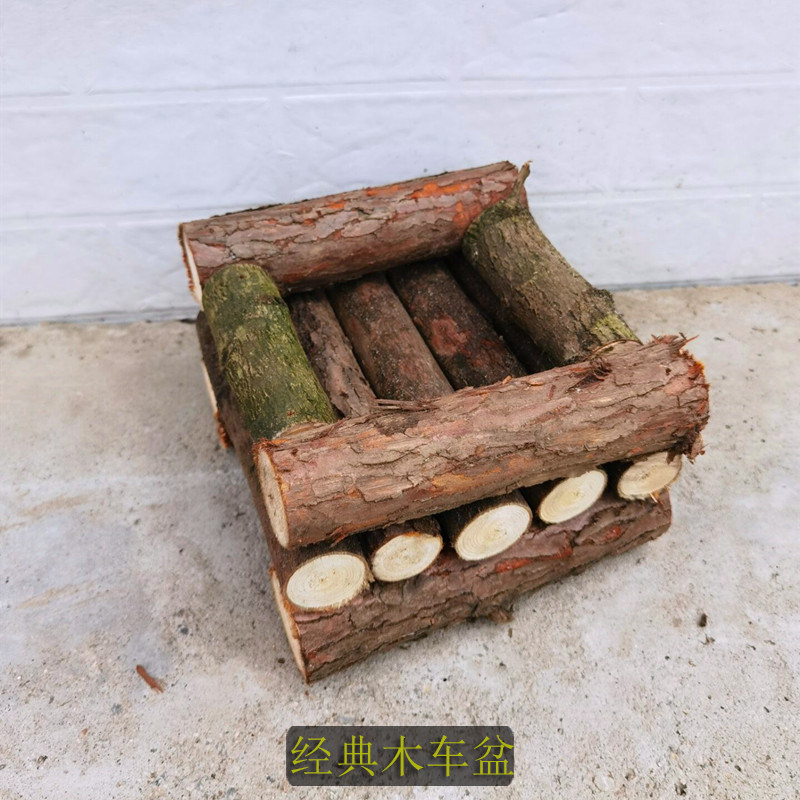 石斛带木车盆已种活 金钗木车 鼓槌车车盆k 球花车盆 蜂腰车盆熟