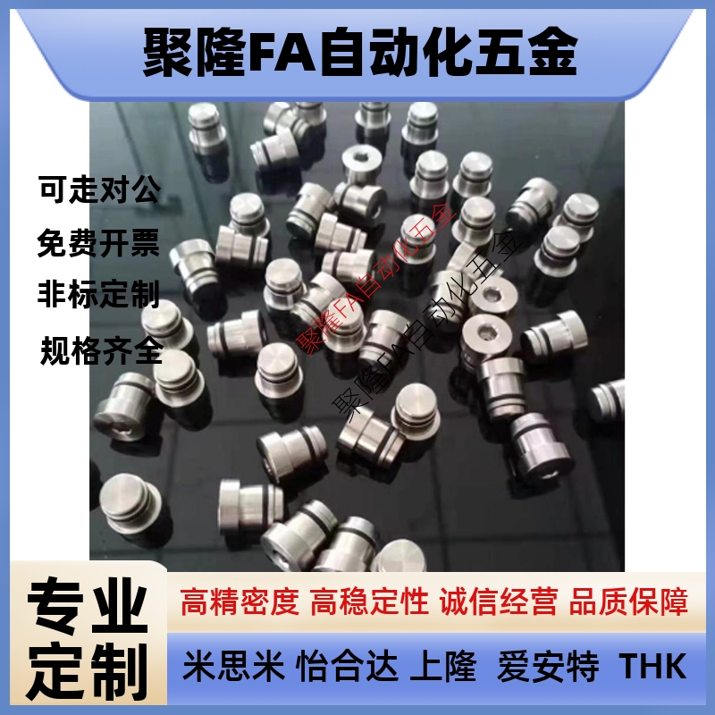 直线导轨用定位销 偏心销LLT3.5 LLT5 LLTS5 ICE11-T5不锈钢LLTA5