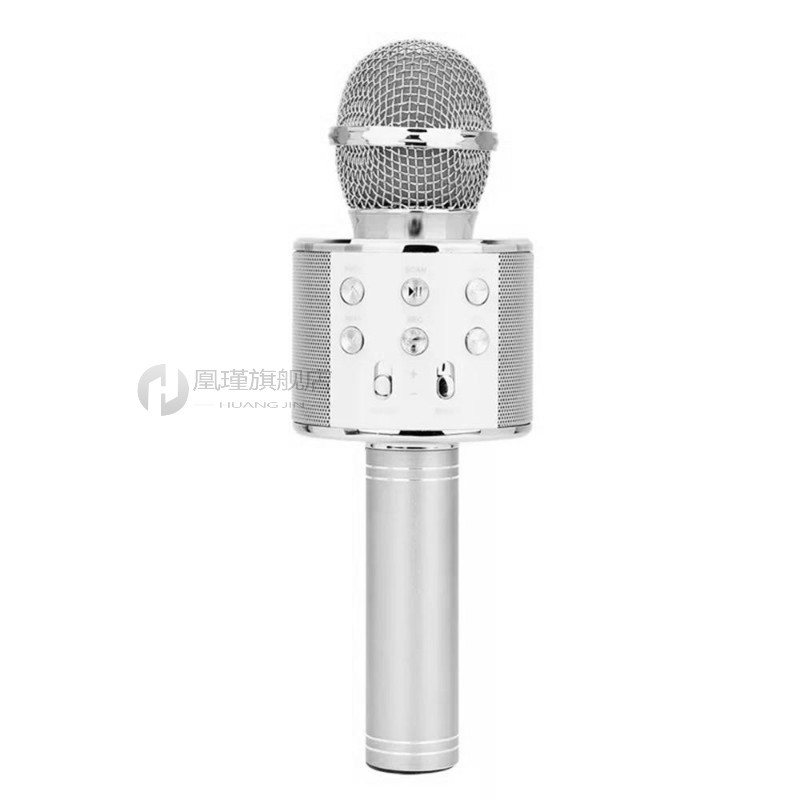 推荐WS858 Professional Bluetooth Wireless Microphone Speaker