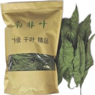 极速南非叶干叶茶 南非叶树苗食用正宗马来西亚将军叶 南非叶