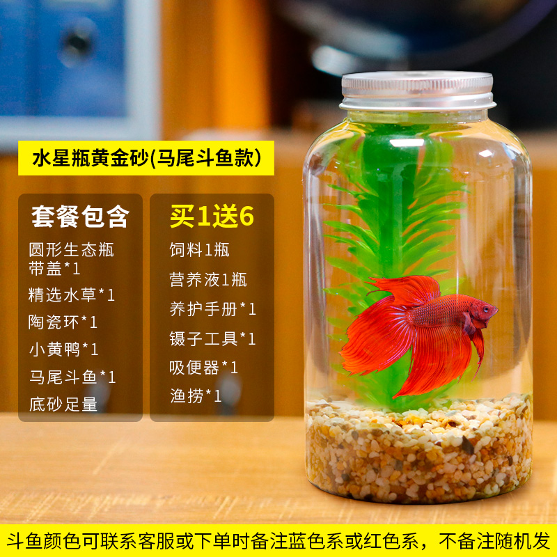 创意水族箱微景观生态瓶造景斗鱼缸办公桌面生态缸DIY造景鱼缸