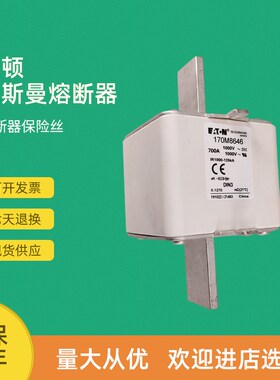 全新快速熔断器保险170M8640 170M8641 170M8642 170M8643