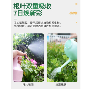 极速朱顶红专用肥营养液植物风信子郁金香种球植物通用家用盆栽液