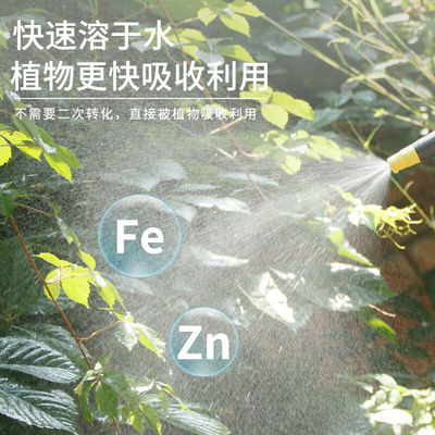 速发戴侬戴侬快速补铁黄叶植物黄化叶面肥补铁肥蔬菜花卉植物通用