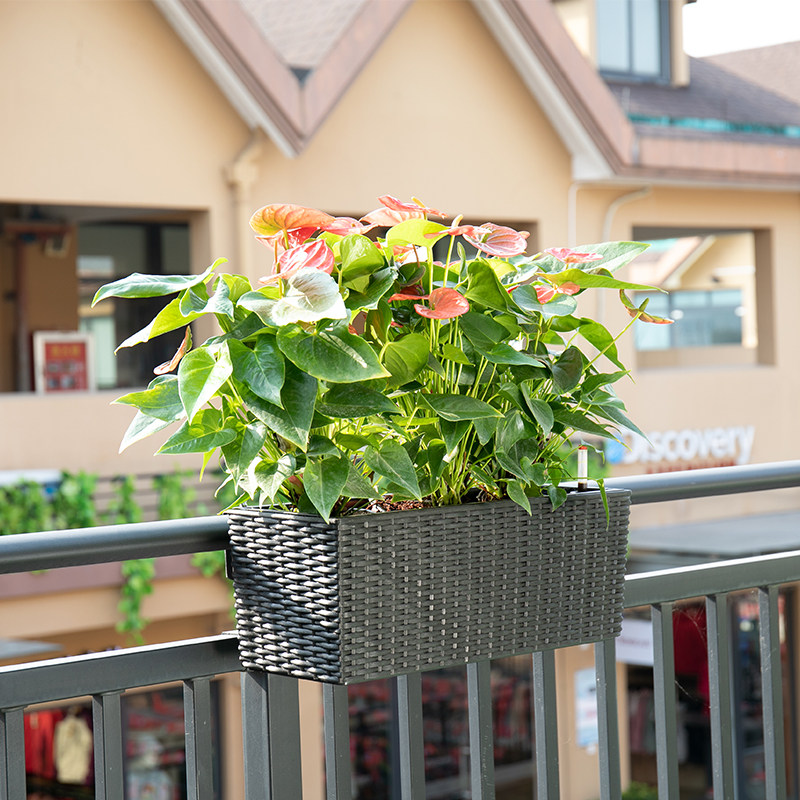 阳台悬挂式花盆栏k杆壁挂花槽长方形花箱挂篮挂墙自吸水种菜种植