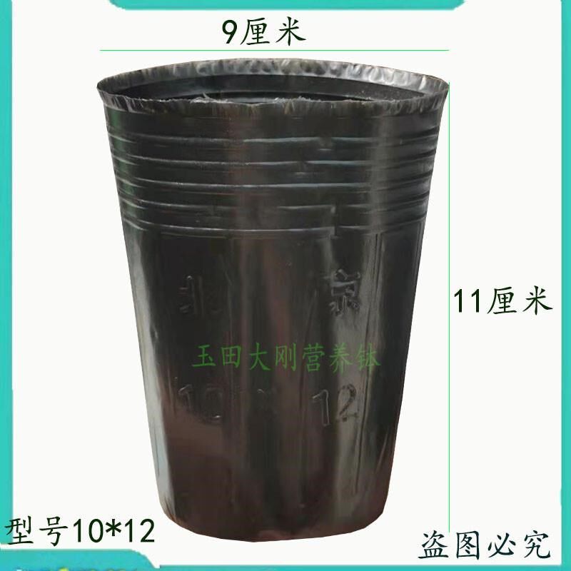 小众高货树苗营养钵细高型育苗盆育苗杯营养杯营养钵育苗袋塑料营