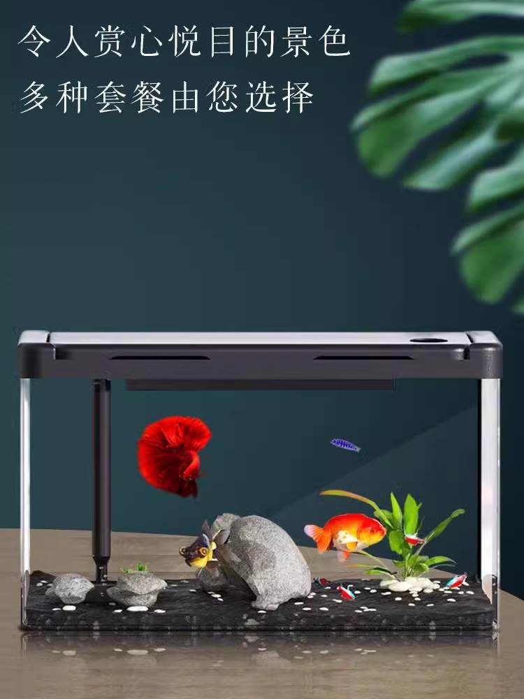 压克力宠物箱e4K超白鱼缸新款客厅桌面乌龟缸生态造景水族箱自循