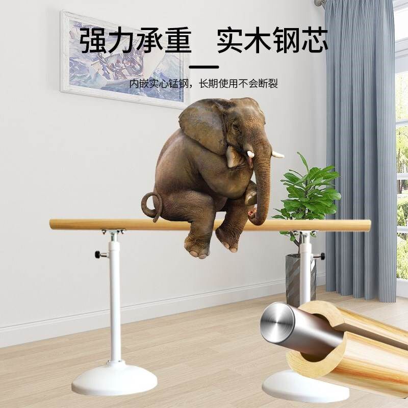 新款舞蹈把杆移动式升降式家用儿童成人压腿实木多功能瑜伽房把杆