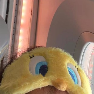 崔弟眼罩遮光睡眠0压感可爱卡通睡觉女士午睡挂耳式不压鼻子