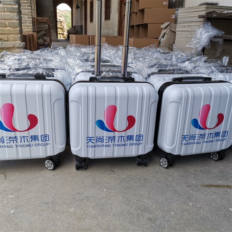 16寸礼品拉杆箱定制logo万向轮密码锁男女旅游登机行李箱子手提箱
