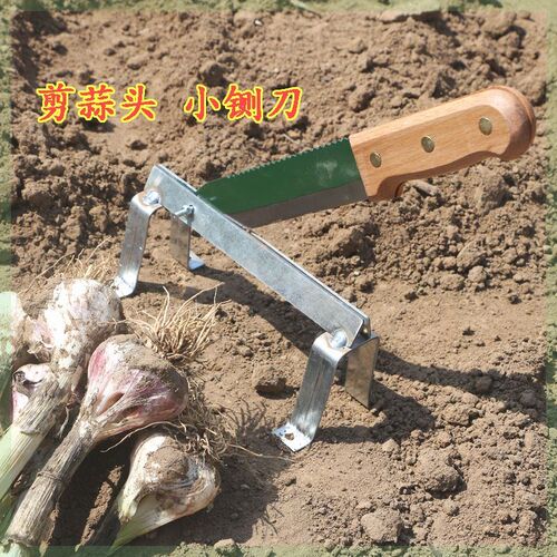 剪大蒜专用剪子 特快剪蒜机剪蒜根须新款刀铡蒜头神器 切蒜根工具