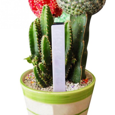 100 Pcs Plastic Plant Seed Labels Pot Marker Nursery Garden