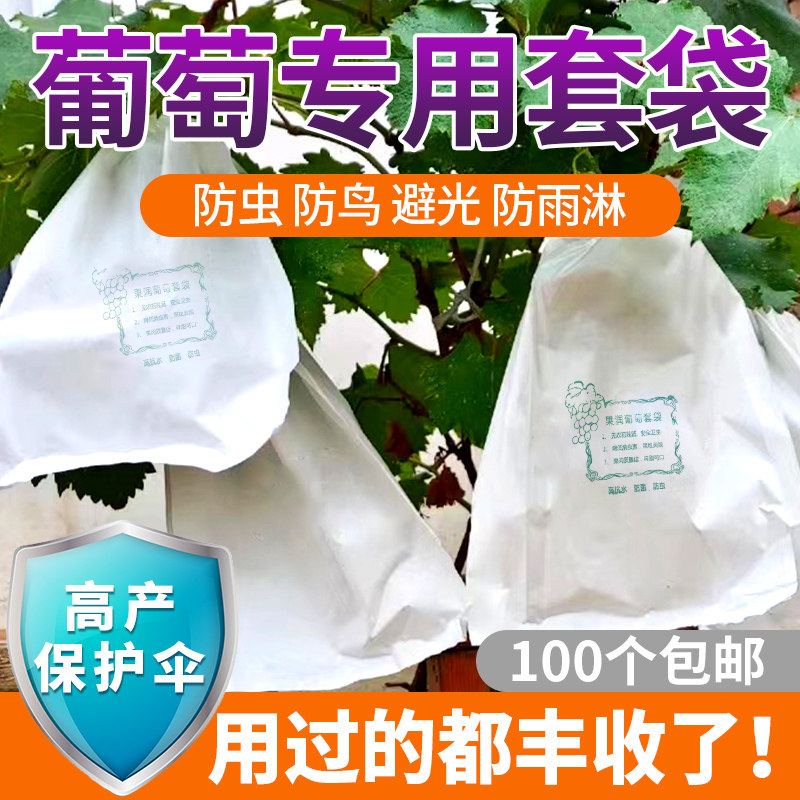 现货葡萄套袋专用纸袋育果袋防虫防鸟H防雨水晶提子用葡萄专用阳