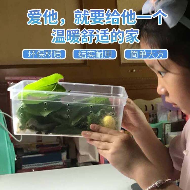 蚕宝宝学生养蚕套装养蚕专用工具儿童饲养箱盒装蚕宝宝的屋子房子