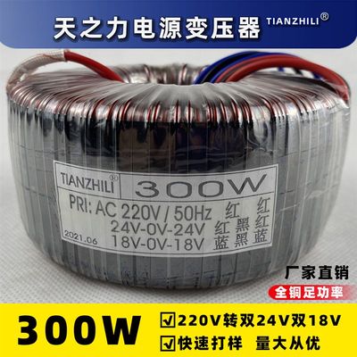 300W环形8压器 220V转双24zV双1变V单相隔定电源 干式纯铜电源离