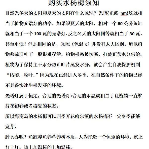 水杨梅鱼缸造景老桩水培专业造景鱼缸净化鱼缸水质植物鱼缸摆放