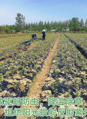 19年全新款大促液体液态地膜可降解地膜农用地膜大棚无滴膜
