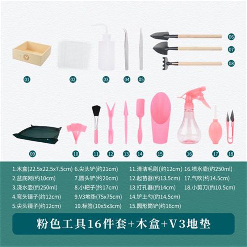 小众高货多肉工具套装专用植物角种植组合养花肉肉幼儿园园艺家用