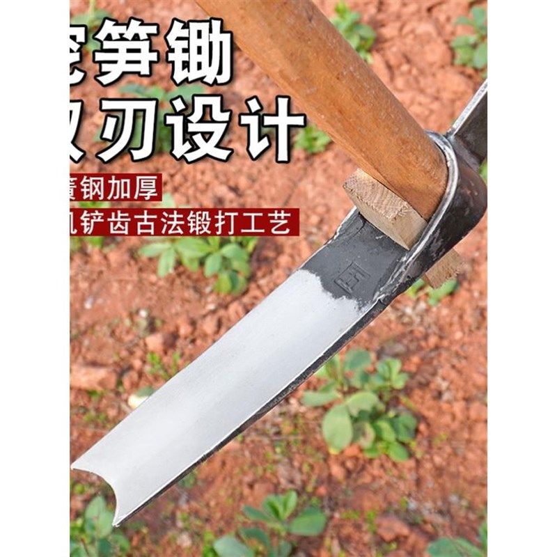 挖冬笋春笋树桩锄头弹簧钢板手工锻打两用专用洋镐挖硬土挖笋竹笋,鲜花速递/花卉仿真/绿植园艺,锄头,淘宝优惠券,粉丝福利购,淘宝优惠卷