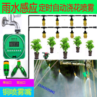 雾化微喷智能感应定时自动浇花器铜雾化喷头家庭花园花卉淋水灌溉