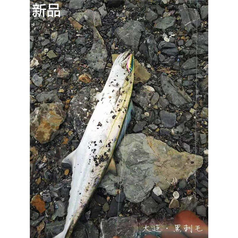 高品质大肚鱼铁板铅鱼路亚假饵岸投慢摇远投铁板根鱼青物通杀新品