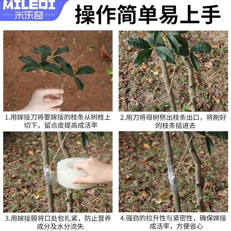 嫁接膜接树自粘果树苗月季免拆可降解缠N绕绑带拉伸缠绕膜透明,农机/农具/农膜,果树嫁接膜,淘宝优惠券,粉丝福利购,淘宝优惠卷