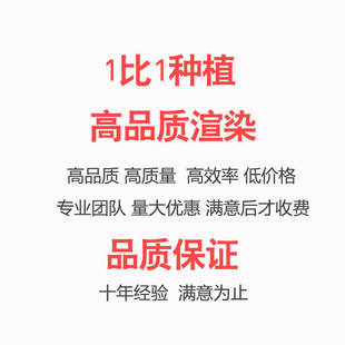 景观园林设计别墅庭院花园方案模型建筑室外效果图制作鸟瞰图代做