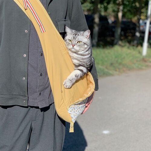 呆萌宠斜挎猫包宠物外出便携包防跑出猫窝出行包亲子背包四季15斤