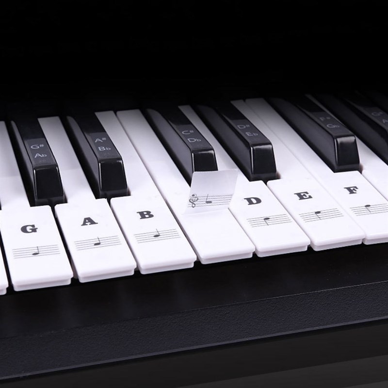 Piano Keyboard Stickers Removable Keys Transparent Beginner