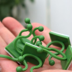 爬藤月季 固定器墙面绿植绿萝牵引卡扣室内无痕定型固定贴夹子神器