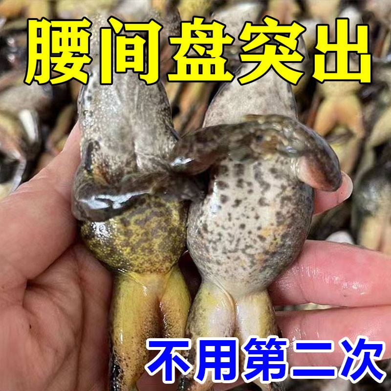 腰疼克星腰肌劳损受伤腰椎突出压迫神经腰酸背痛腿麻屁股疼贴膏ZM