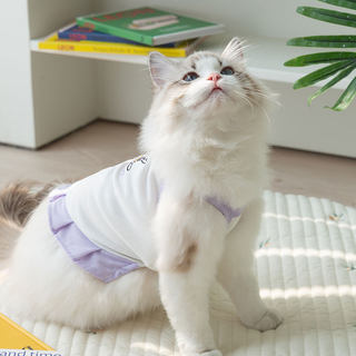 宠物猫咪衣服防紫外线芭蕾凉凉连衣裙防掉毛布偶英短美短猫咪用品