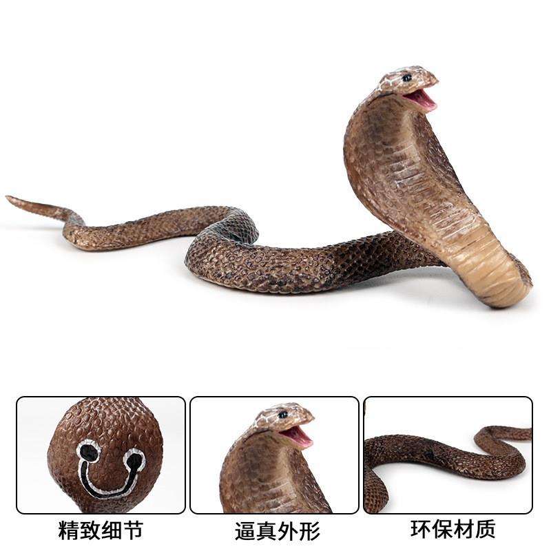 极速sChld toy boa contrsnaketctor cobra ratlPesnake snake VC 玩具/童车/益智/积木/模型 仿真/动物玩偶 原图主图