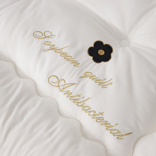 冬季床垫软垫双人家用榻榻米垫子单人加厚垫被1.8m床垫子床褥褥子