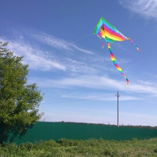 New Long Tail Rainbow Kite Outdoor Kites Flying Toys Kite F