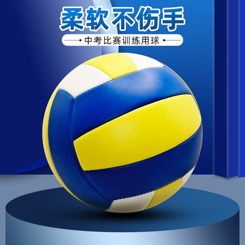 排球中考学生专用5号比赛训练标准小学生初中体育体考软式硬排球